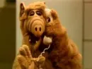 ALF