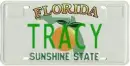 tracy, florida, liscense plate