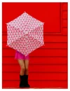 umbrella