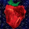 across the universe
