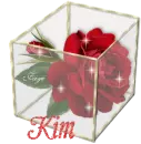 Kim - Rose Glassbox 