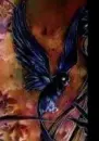 evil sparrow