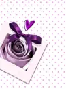  PURPLE ROSE