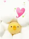 CHICKYS