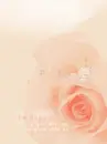 PINK ROSE