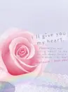 PINK ROSE