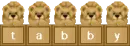 Tabby