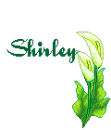 Shirley