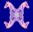 horse 