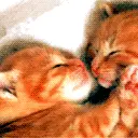 KITTY KISSES