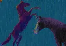 horse