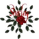 Shirley