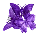 Michelle Butterflies