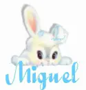 Miguel
