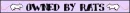 OWNED BY RATS (PEW) PURPLE