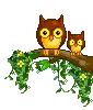 cutey owls