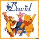 Pooh And Friends with the name David