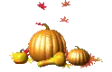 pumkins