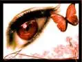 Orange eye