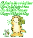 St Pats Day Friend
