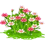 kawaii flowers