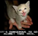 it is dangerous to go alone 