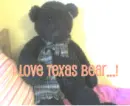 Texas Bear