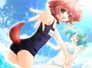 Splish Splash