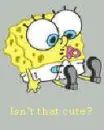 CUTE