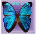 no time to fly