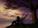Fairy