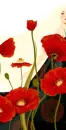 RED FLOWER