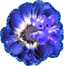 kitty in a flower