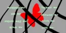 red butterfly