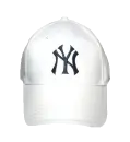 Yankees hat