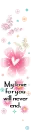 my love for you...