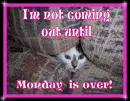 Monday