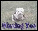 Missing you