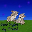 Good Night my Friend