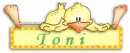 toni duck