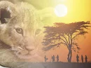afrika tiger