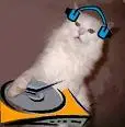 Dj kitty =]