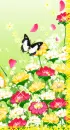 colorful flowers