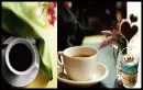 coffeeee