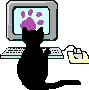 PC Black Cat