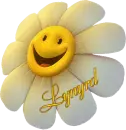 Lynyrdsunflwr