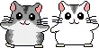 cute hamsters