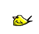 bird