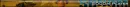 Socom Banner