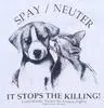 spay and neuter